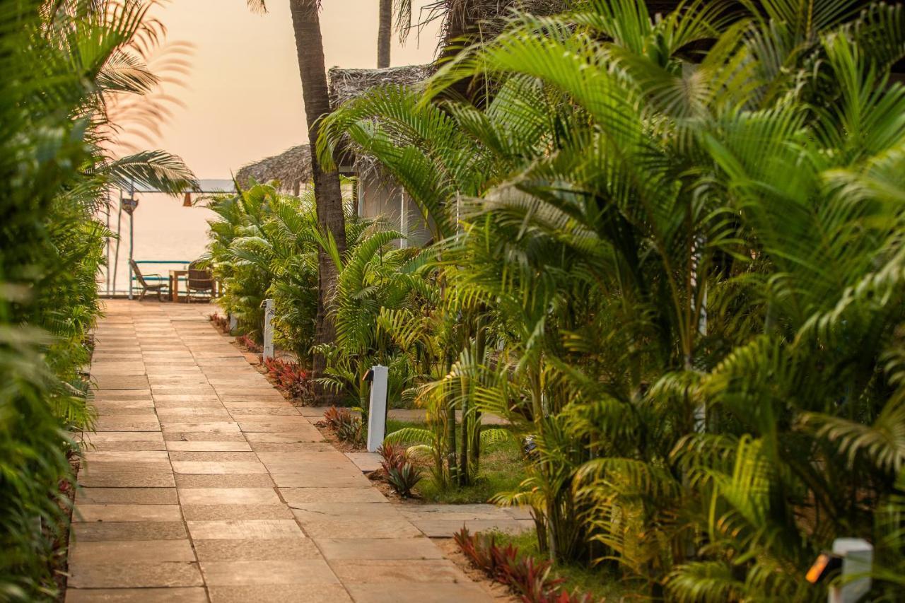 Agonda Shell Beach Resort Canacona Eksteriør bilde