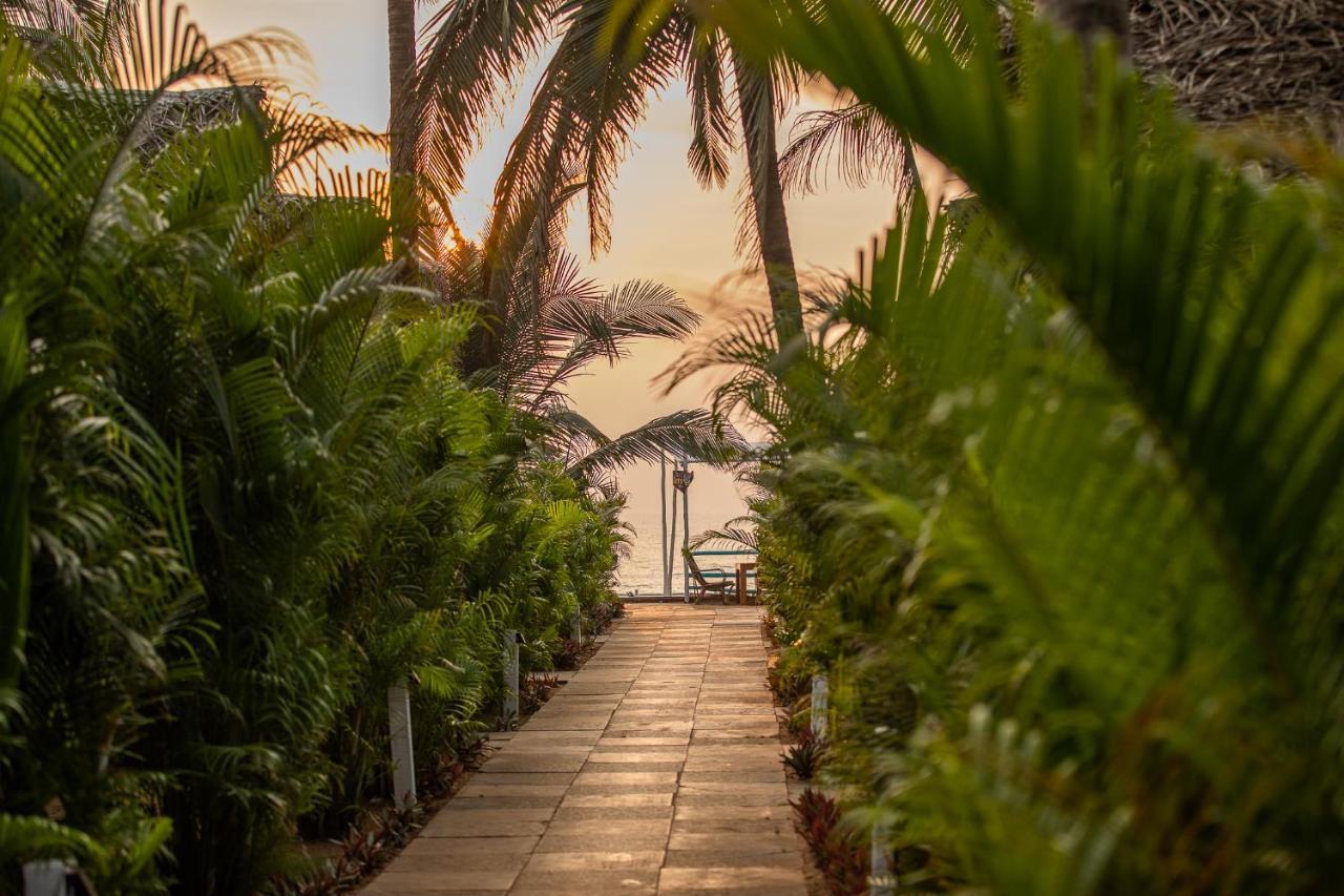 Agonda Shell Beach Resort Canacona Eksteriør bilde